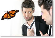 Picture of Mariposómetro